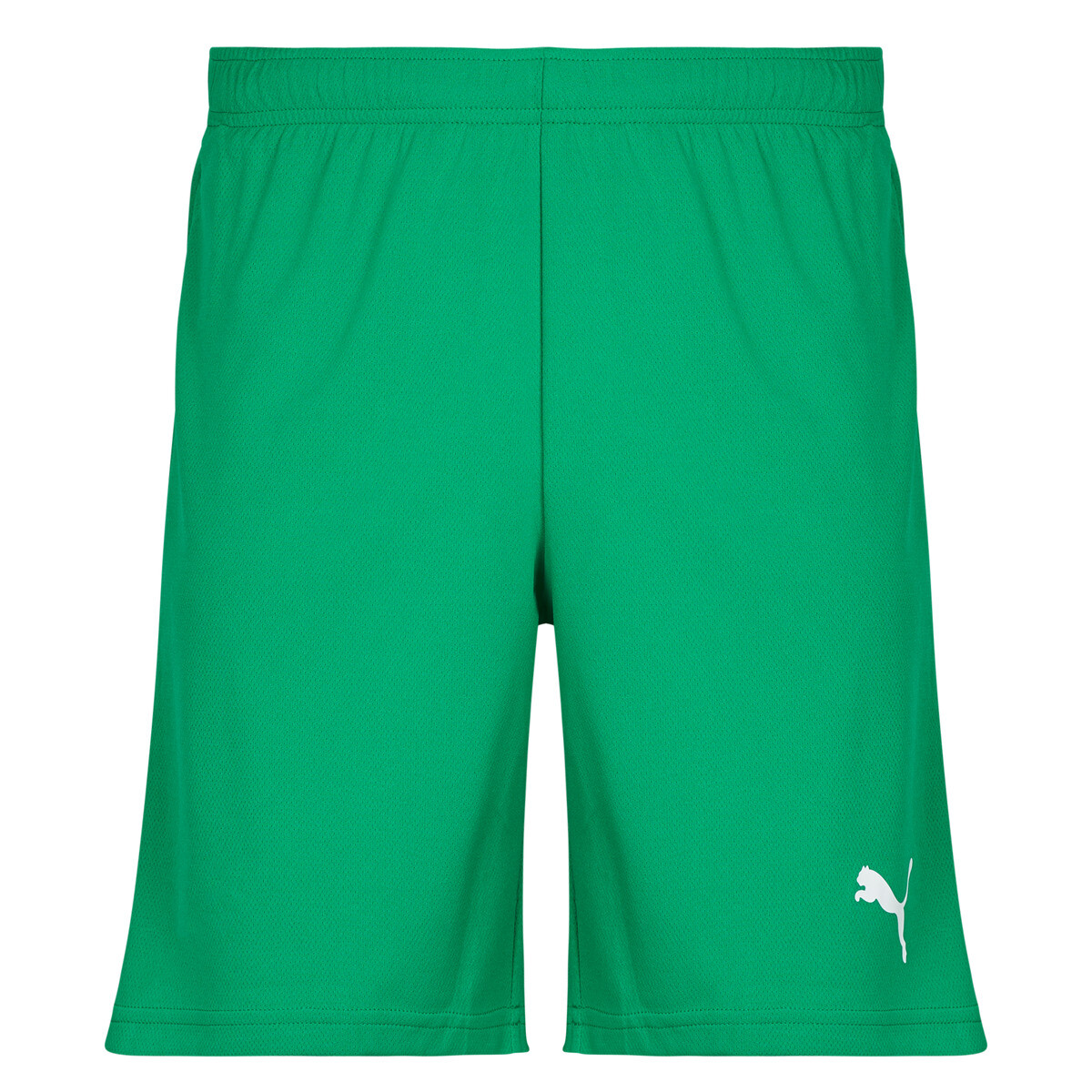 Puma  TEAMRISE MATCHDAY  Zelená