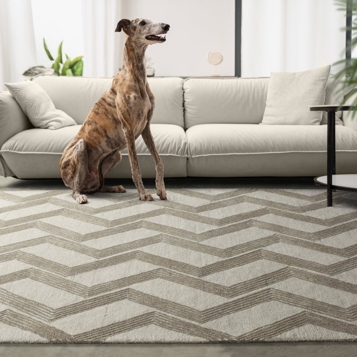 indickynabytek.cz - Koberec WOOD GREEN 160 x 230 cm z pravé vlny