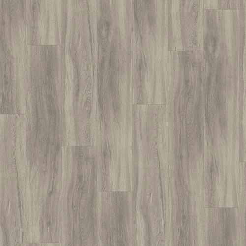 Parador SPC Basic 5.3 Dub pastelově šedý P1743005