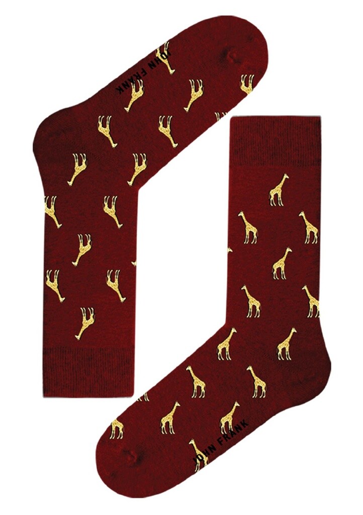 Pánské ponožky John Frank JFLSCOOL52