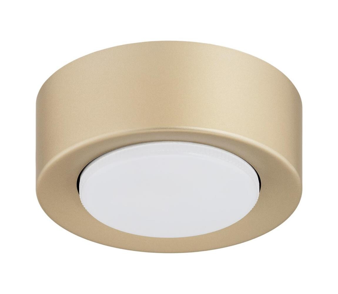 Argon 8903 - Stropní svítidlo ELORA 1xGX53/7W/230V pr. 11 cm zlatá 8903