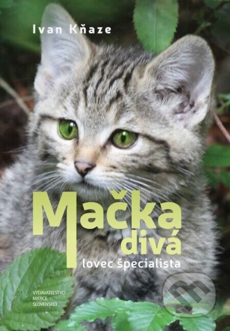 Mačka divá – lovec špecialista - Ivan Kňaze