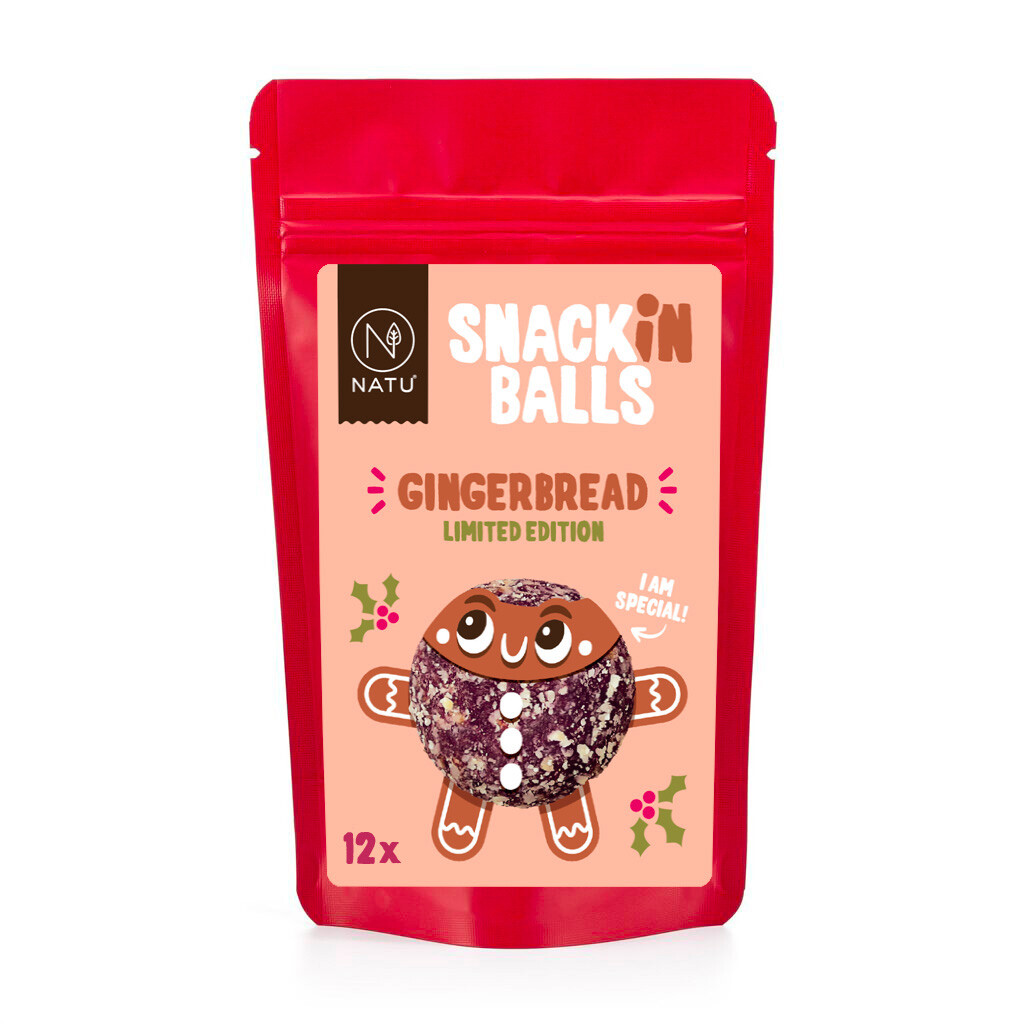 NATU SNACKin Balls Gingerbread 156g