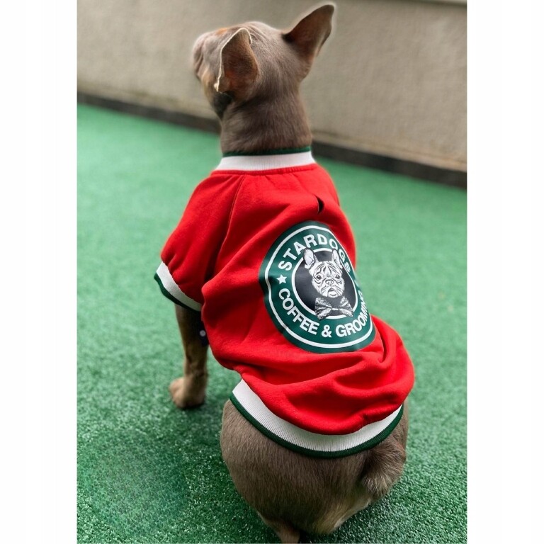 Bavlněná mikina pro psa 100% bavlna L červená, oblečení pro psa