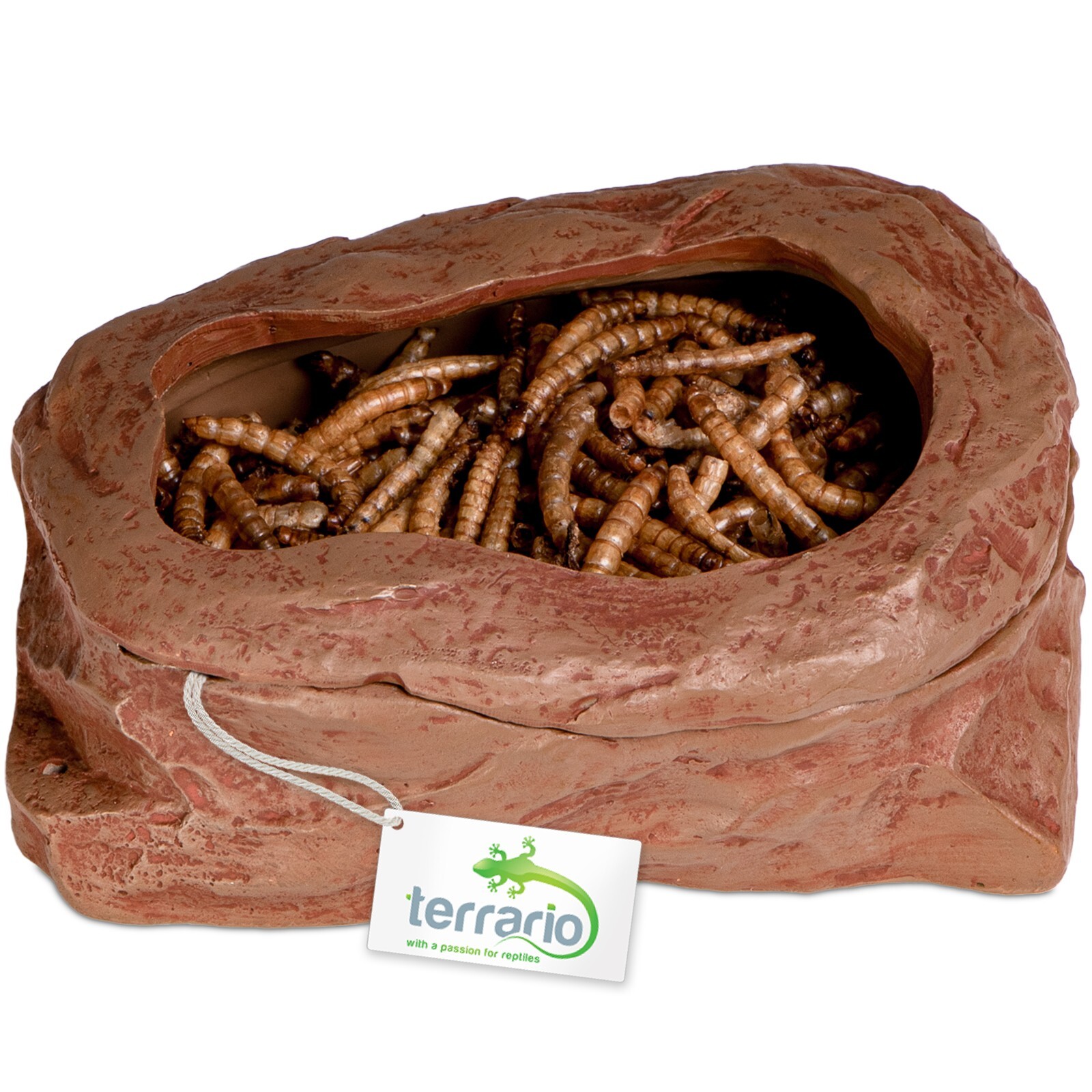 Miska Pro Krmení Živým Krmivem 11X9X4 CM Čisté Terárium Splitrock