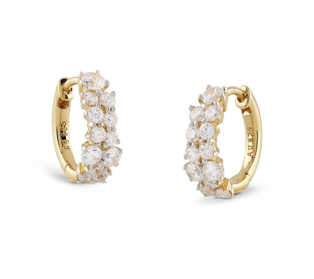 Guess Luxusní kruhové náušnice s kubickými zirkony Jardin JSBE04481JWYGT/U