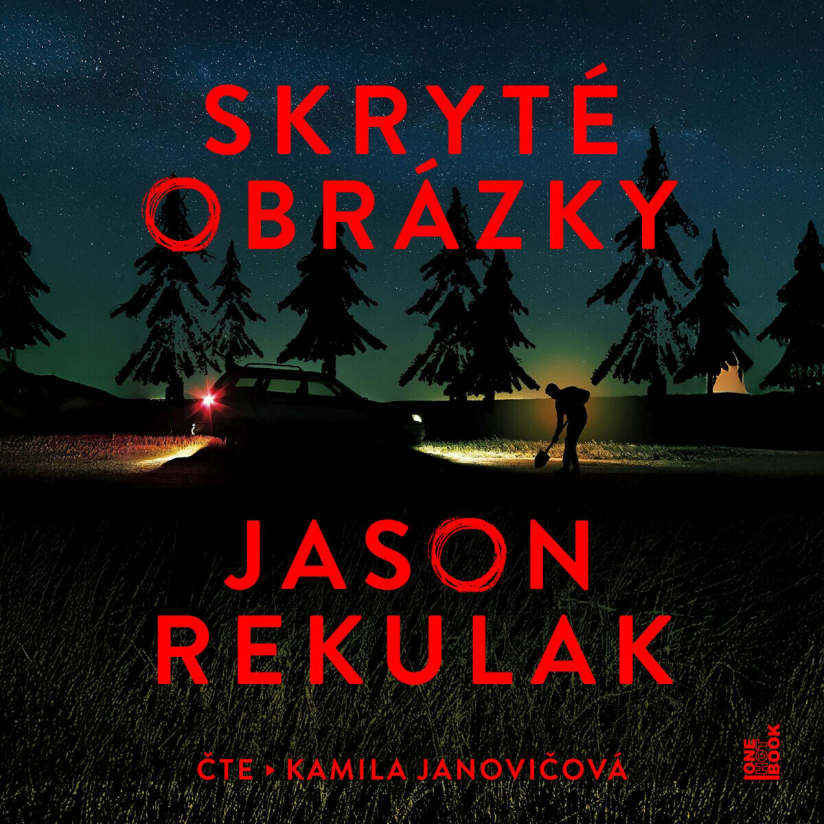 Skryté obrázky - Jason Rekulak - audiokniha