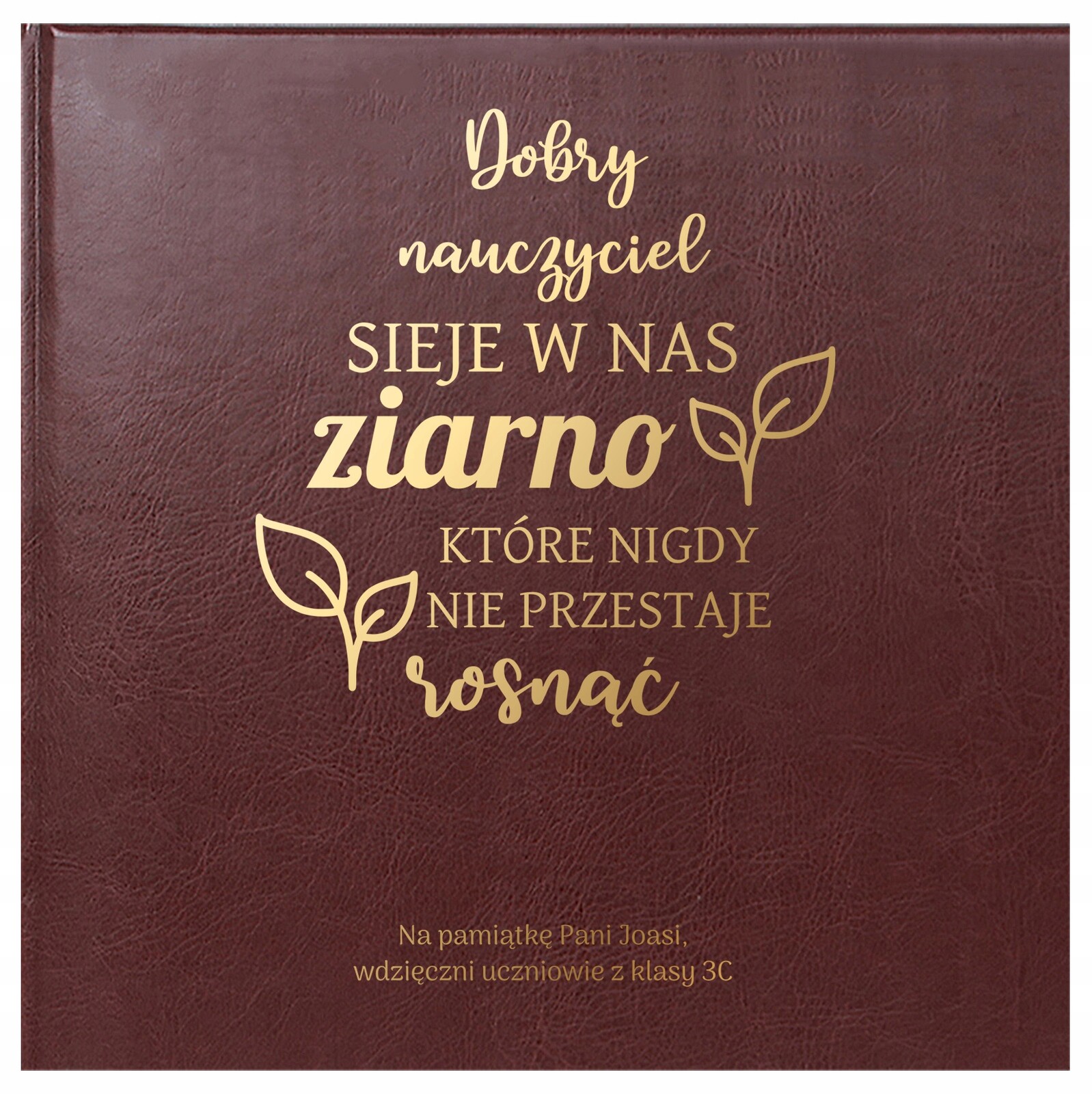 Album fotografie Pro Učitele dárek Váš text Zlatý potisk 30 karet