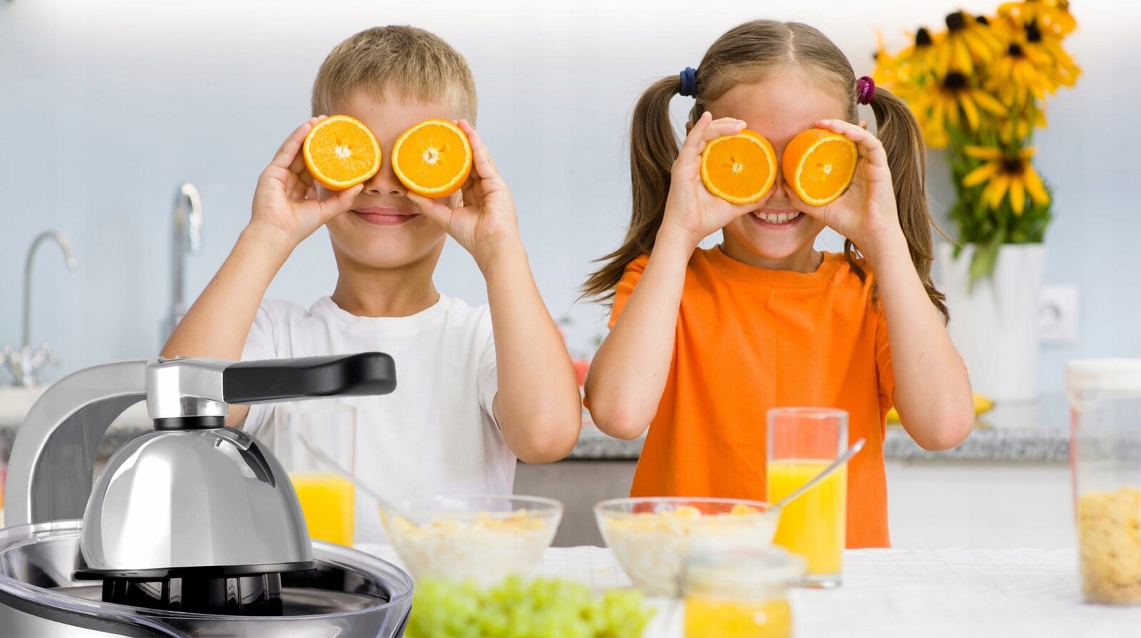 Lis na citrusy Zilan ZLN1765 stříbrný/šedý 500 W