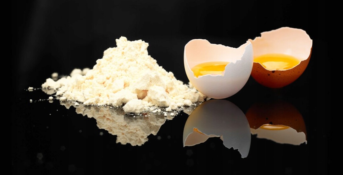 Albumin Bílkoviny v prášku 1 kg