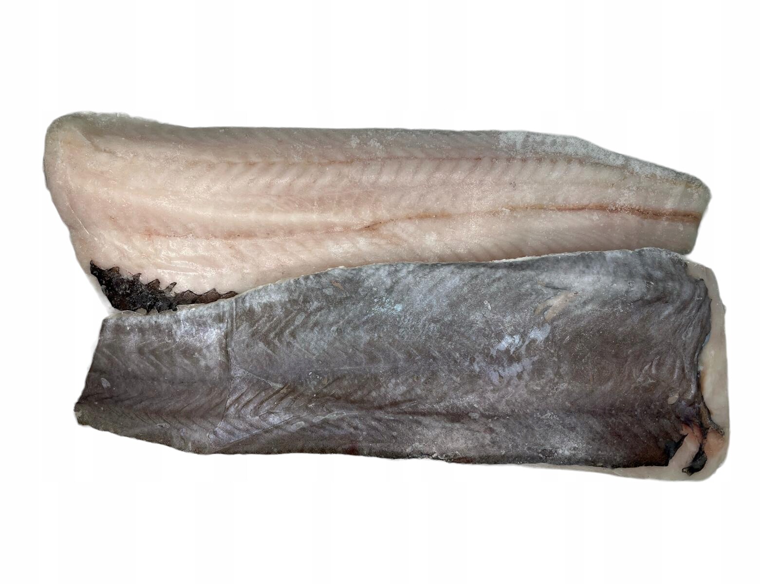 Miruna Novozélandská, čerstvý filé s kůží vacuum 1 kg