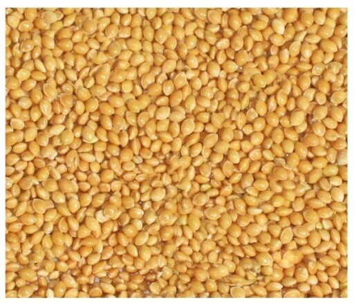 Žluté suché proso pro zimující ptáky, papoušky a exotiku 4x5 kg