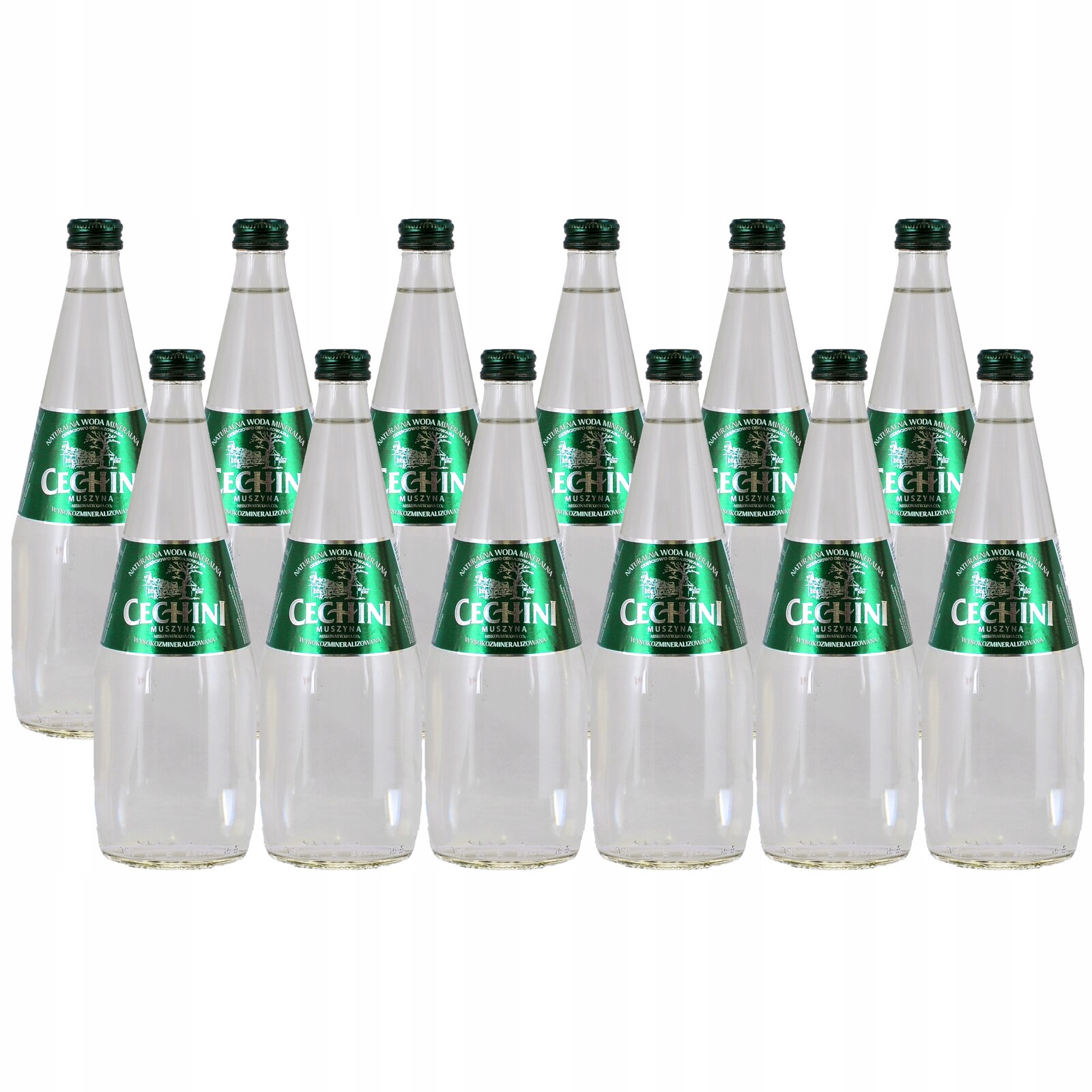 12 x nízkonasycená voda Cechini Muszyna vysoce mineralizovaná skleněná 0,33