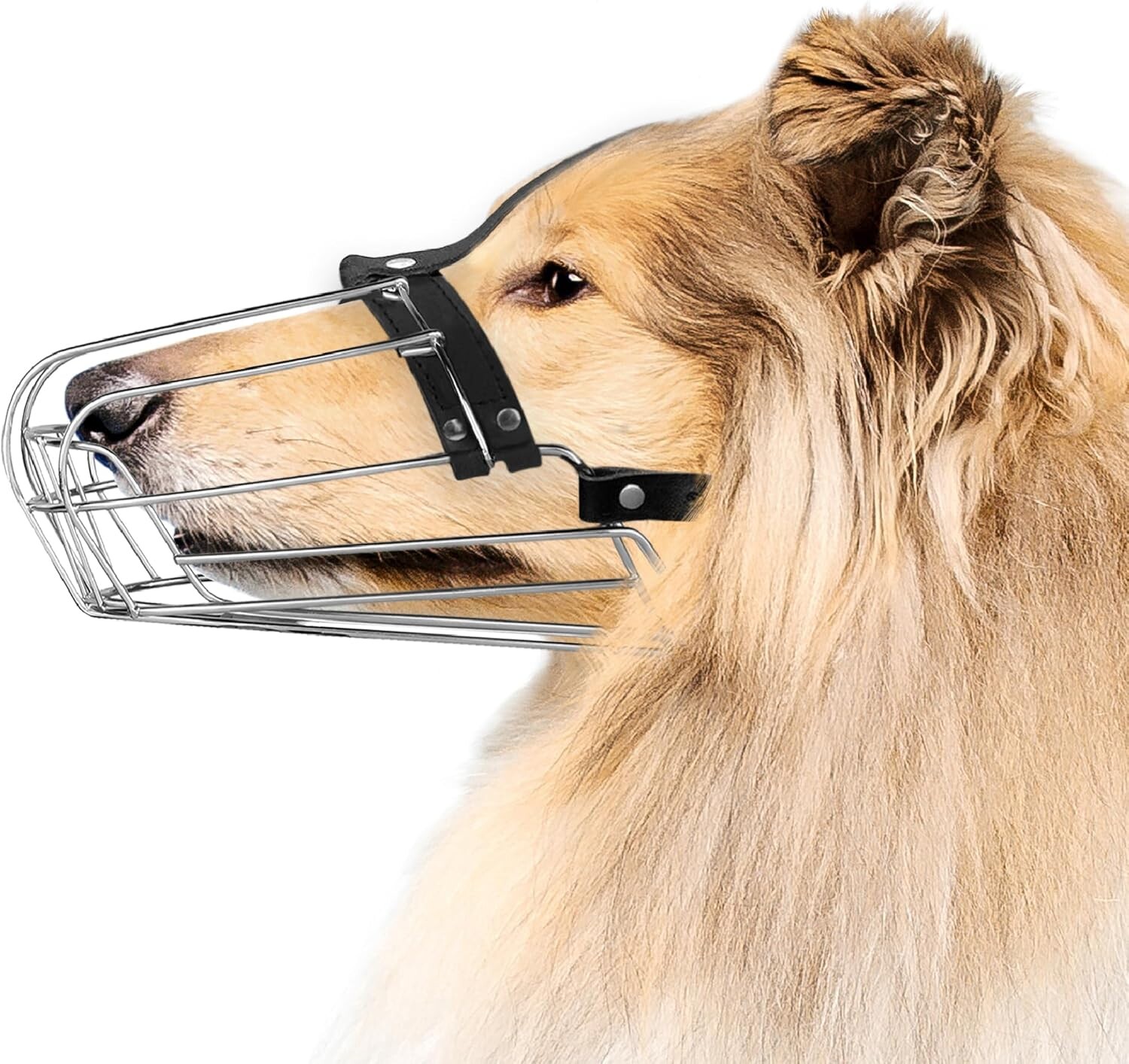 Kovový náhubek s koženými pásky Bronzedog