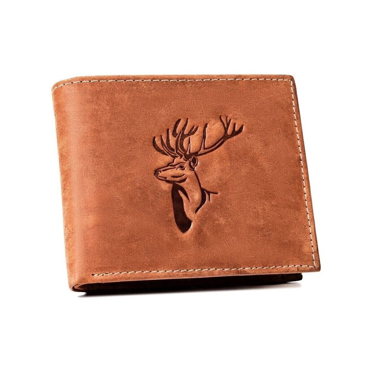 Always Wild  N992CHMDEERBLCOG78900  Hnědá