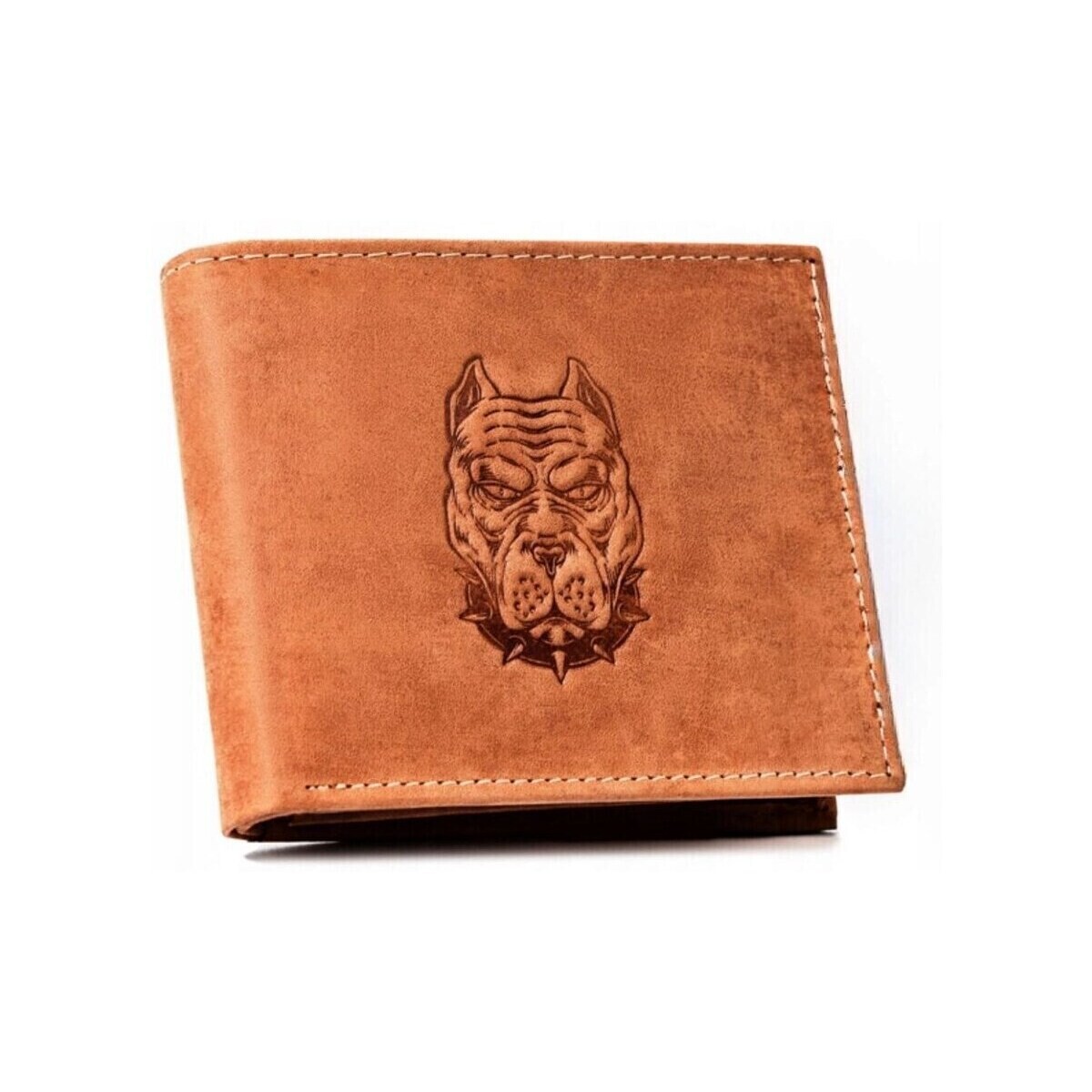 Always Wild  N992CHMDOG2BLCO78901  Hnědá