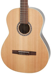 Godin Presentation (použité)