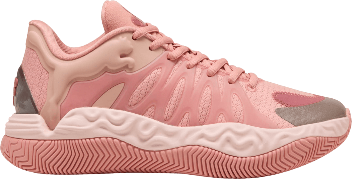 Basketbalové boty Puma  Hali 1 Kids