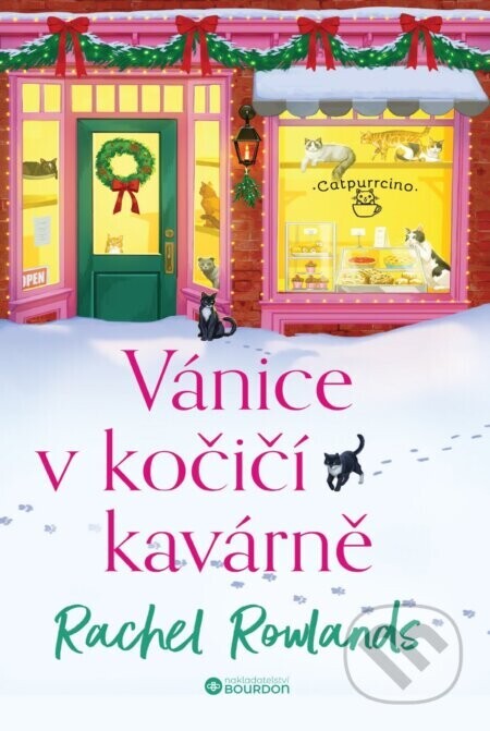Vánice v kočičí kavárně - Rachel Rowlands