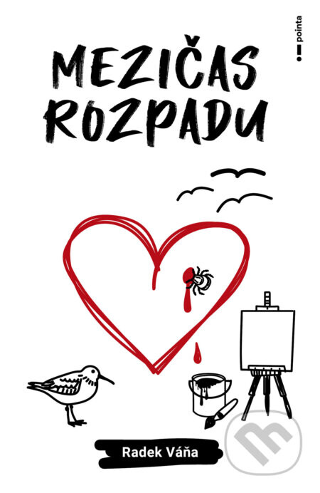Mezičas rozpadu - Radek Váňa