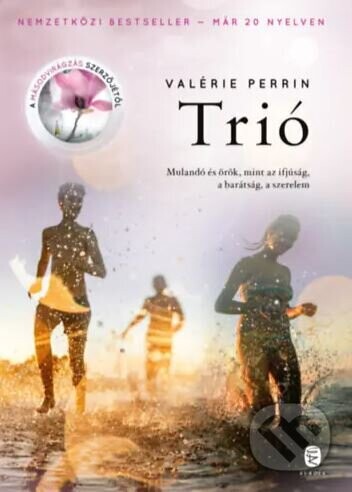Trió - Valerie Perrin