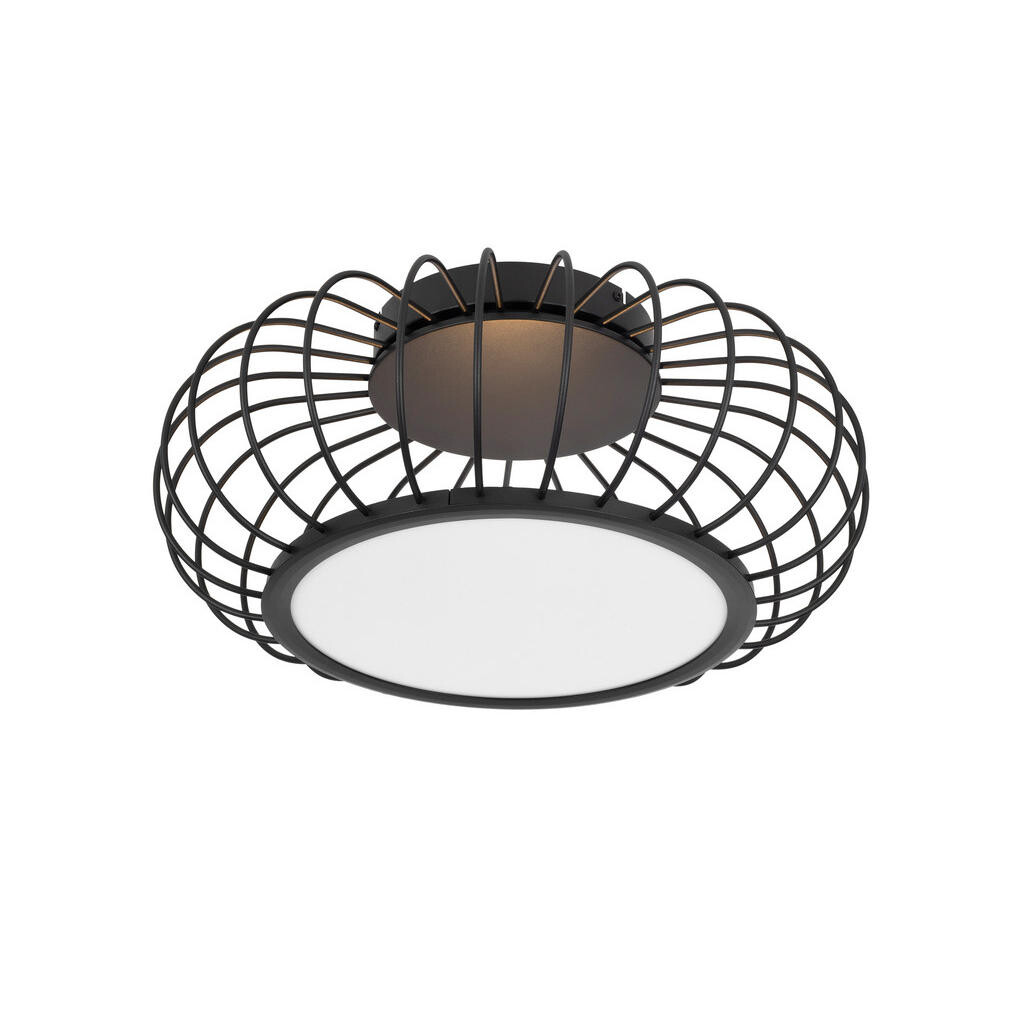 Dieter Knoll STROPNÍ LED SVÍTIDLO, 55/23 cm