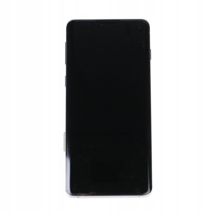 Samsung Galaxy S10 G973 LCD Rychlý Originální Displej