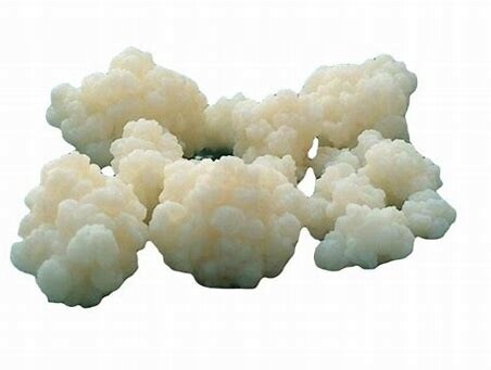 Kefírová zrna Tibetská Houba pro výrobu domácího kefíru 10 g návod