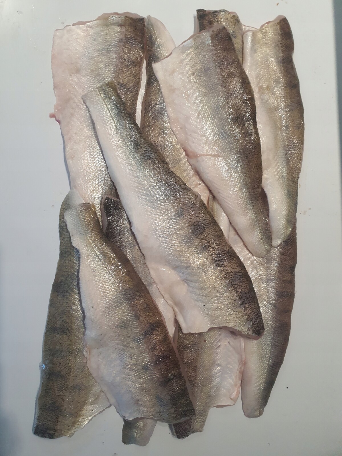 Sandáč filé, čerstvá ryba, čerstvý filé z candáta 1 kg