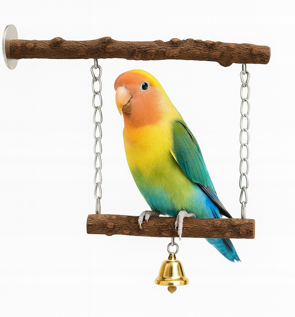 Double Joy Swing – dvojitá houpačka s zvonečkem pro papoušky