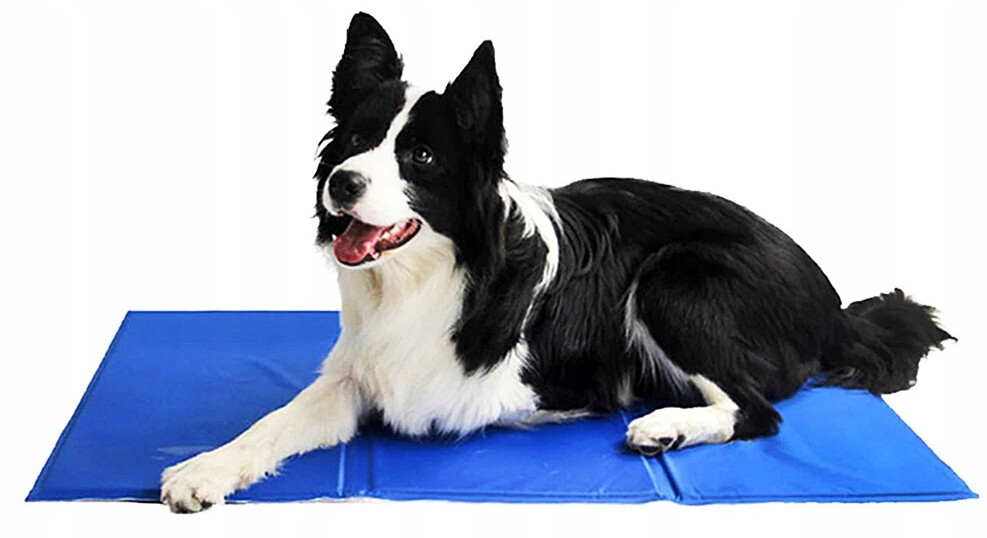 Bisky podložka pro psa modrá 90 cm x 50 cm