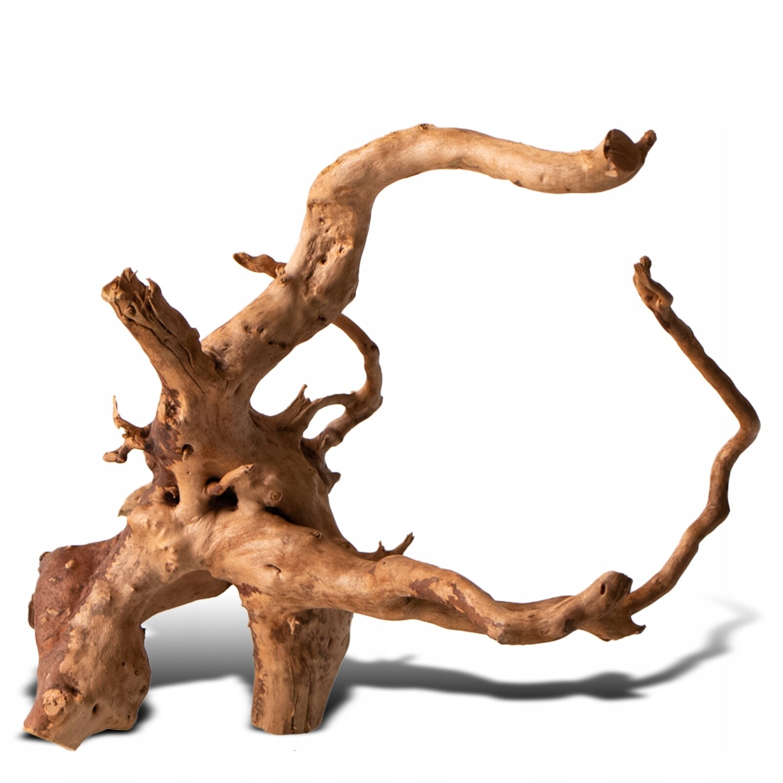 Shizen Essence J-roots S malé japonské kořínky