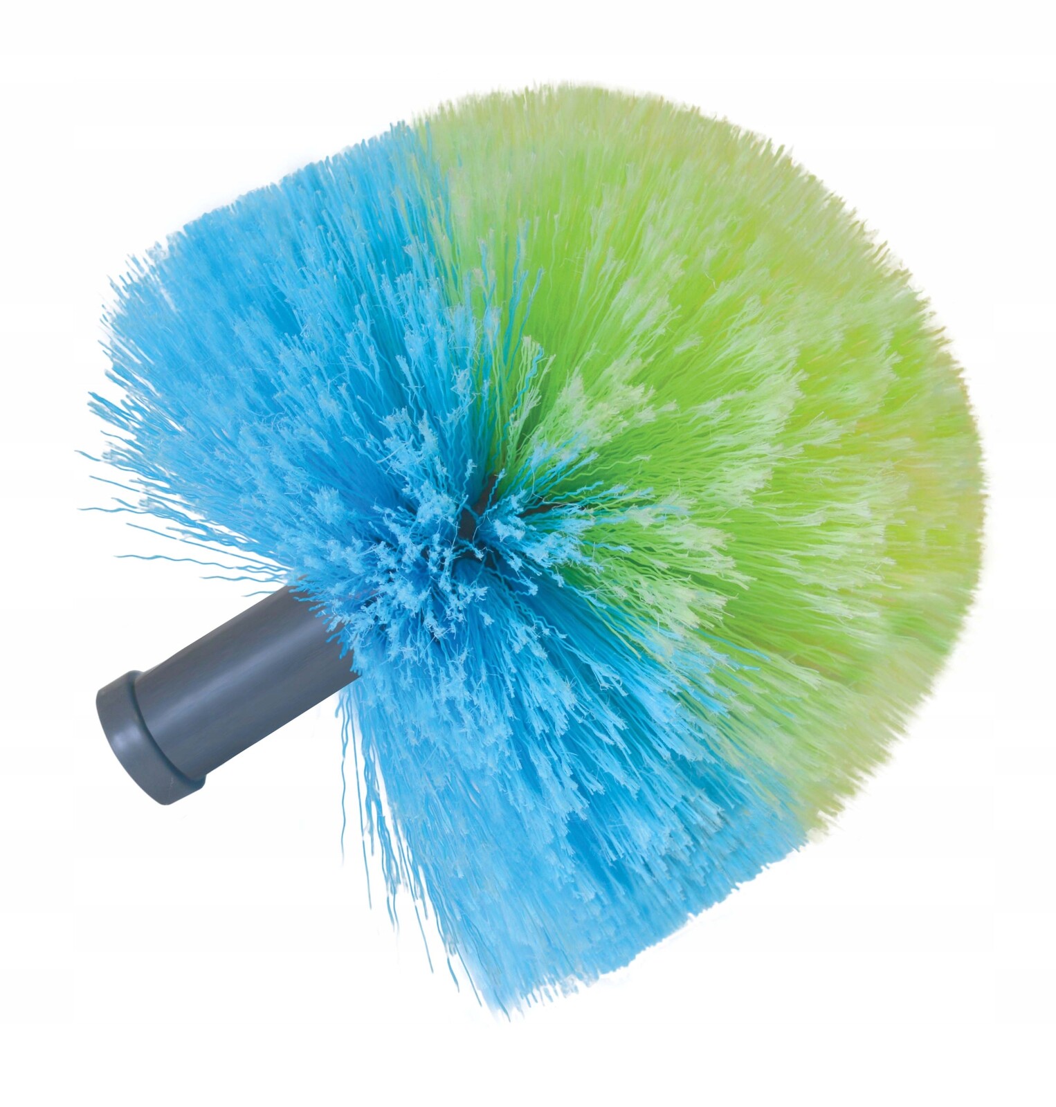 Prachovka York, vícebarevná