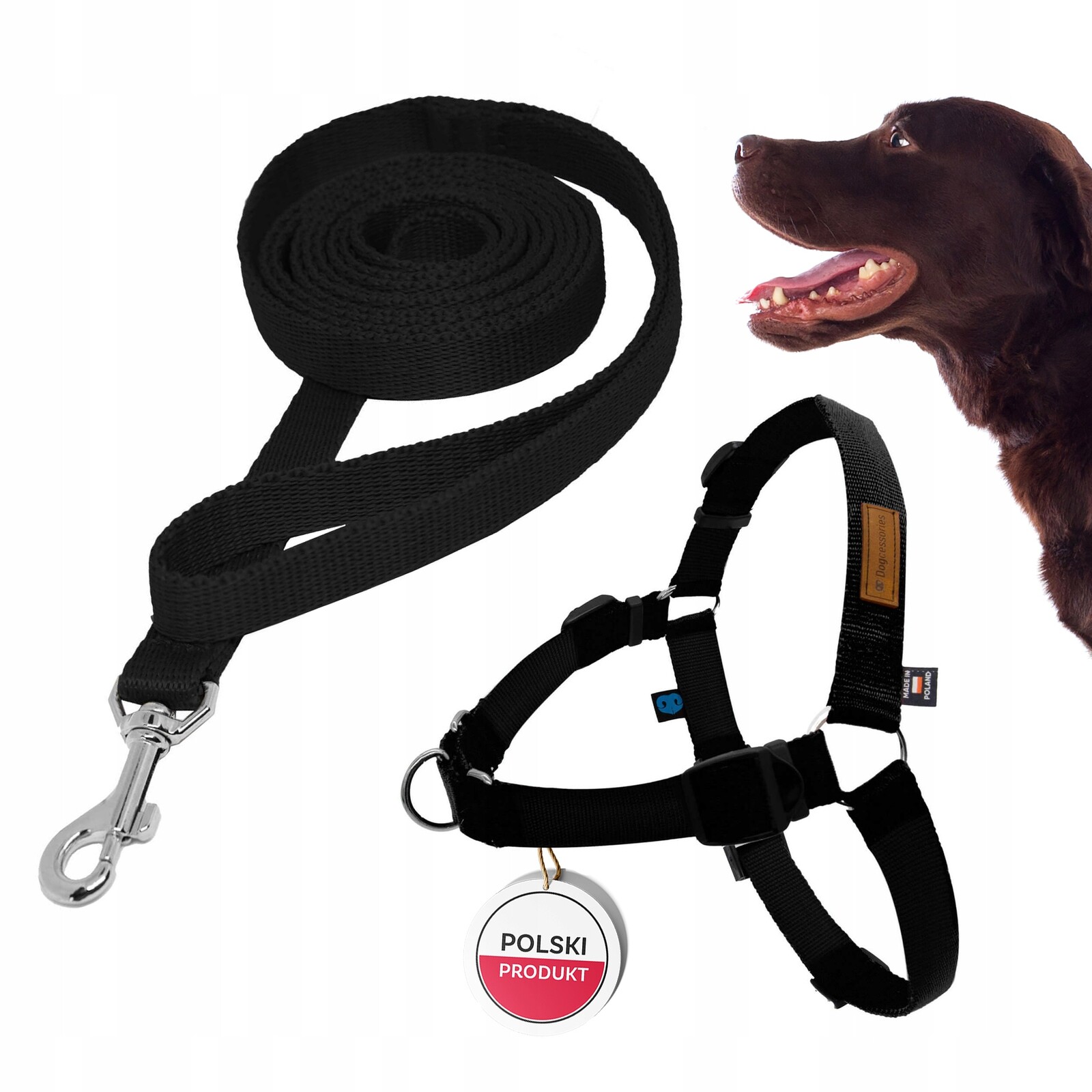 Sada pro tahajícího psa: Postroj Easy Walk L Vodítko 3 m, Pohodlné a Pevné