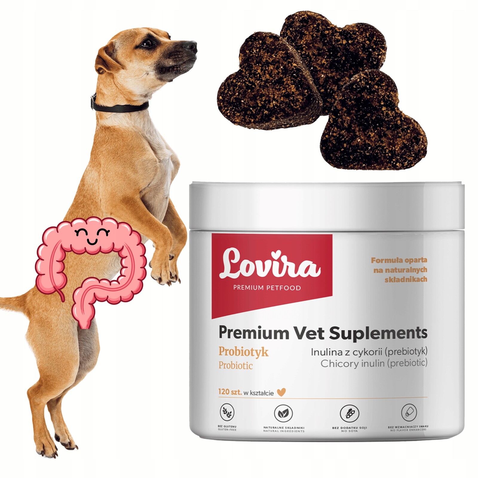 Doplňky Pro Psa na Střeva 120 příchutí Probiotik Flora Balance