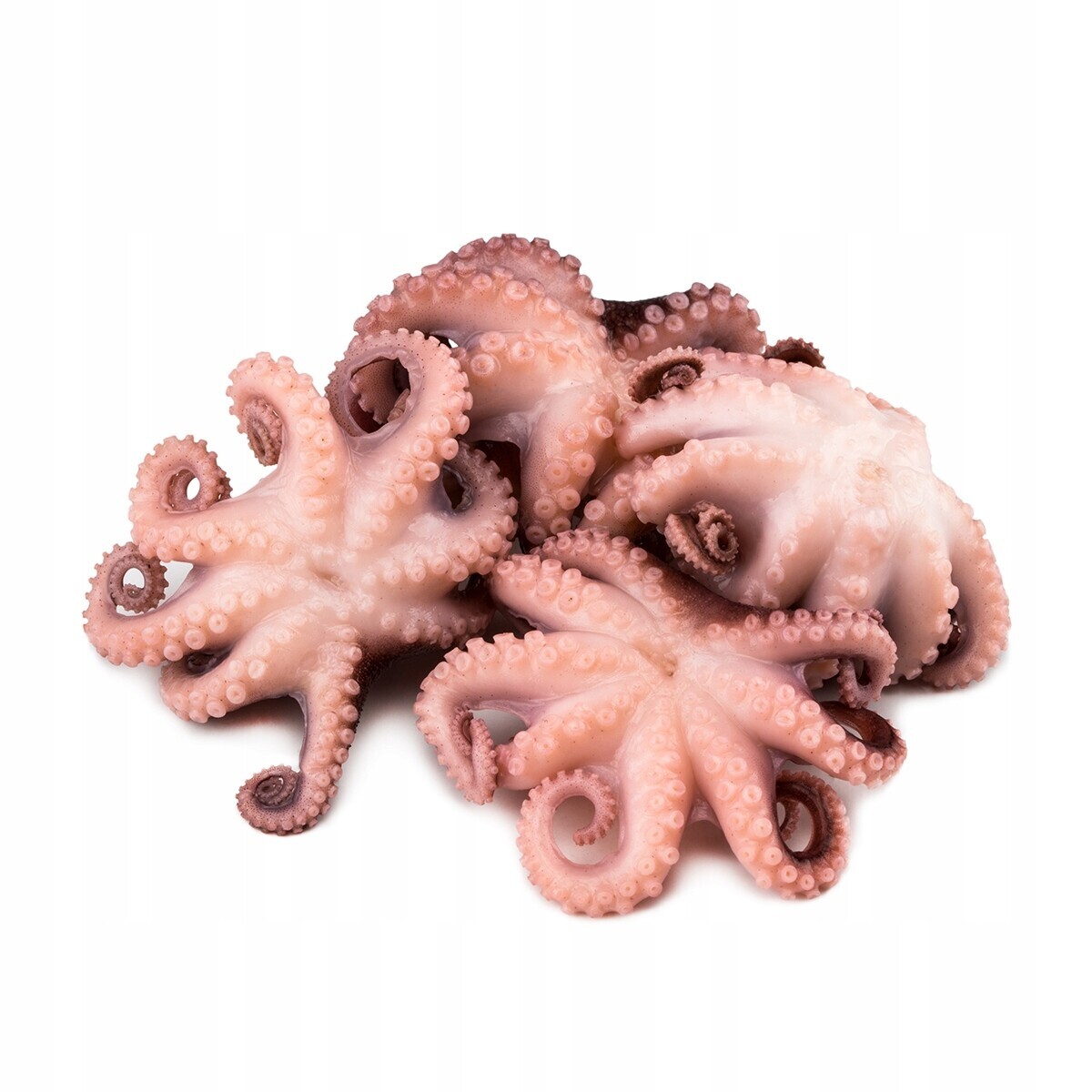 Chobotnice Alessiobrusadin 1000 g