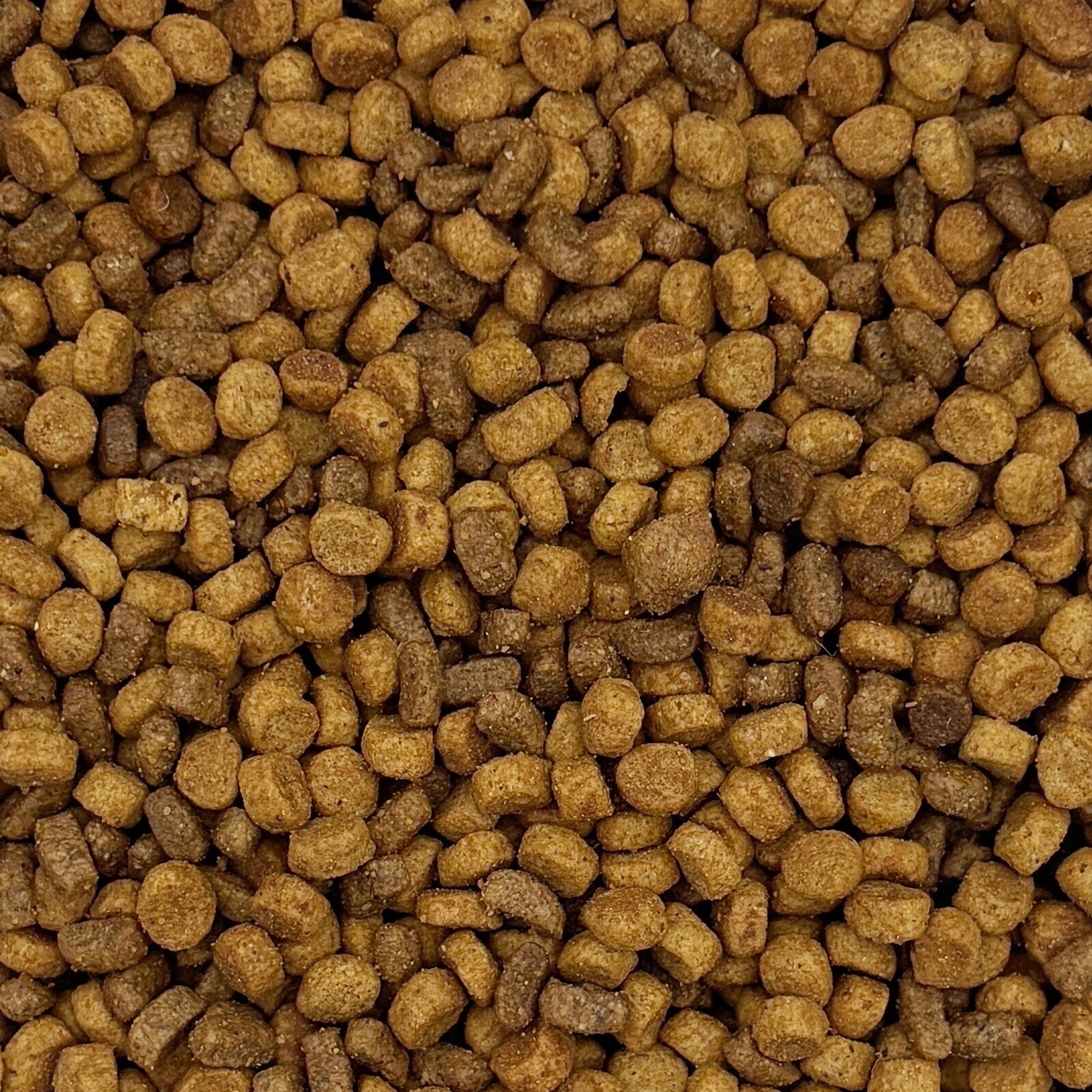 10kg Maxipet Suché krmivo pro kočky plnohodnotné hovězí