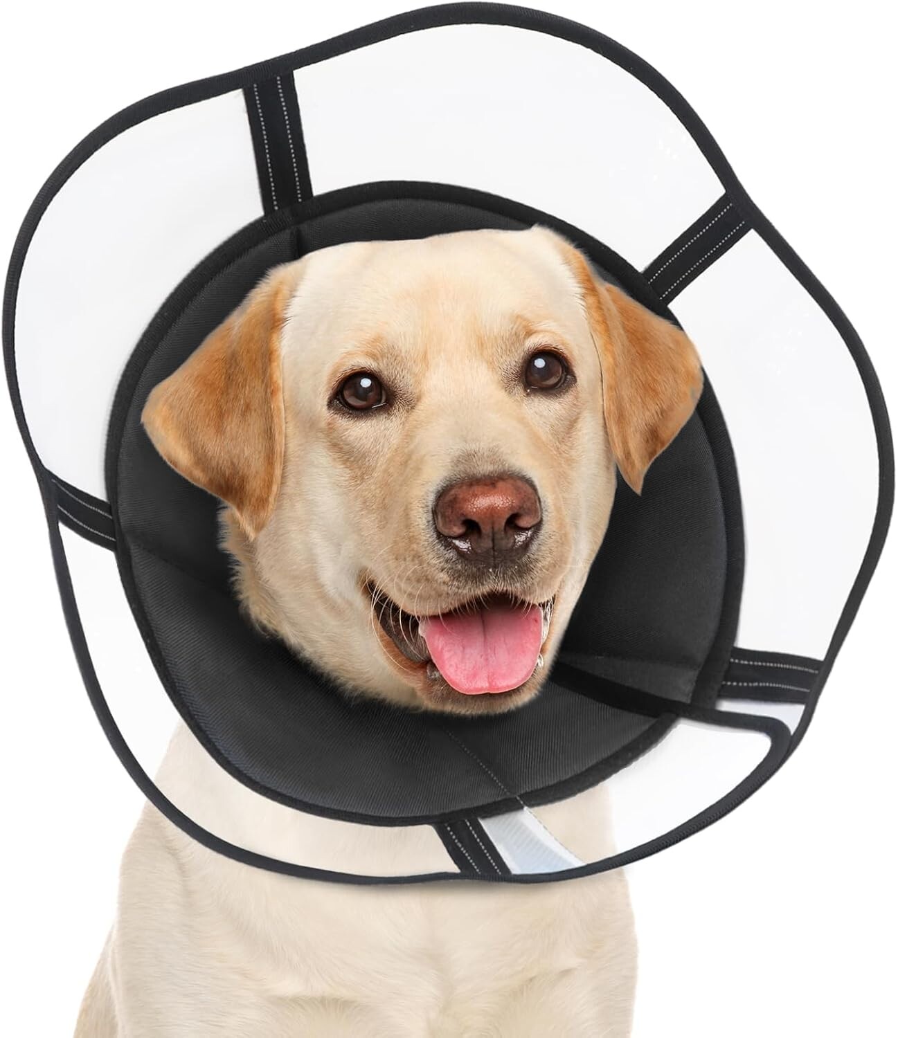 Pooperační obojek pro psa Ce XL Veterinární ochranný černý na suchý zip