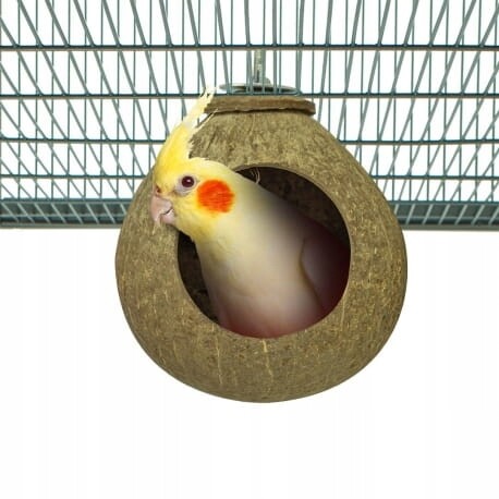 Kokosová dírka – hračka nebo jeskyně pro středně velké papoušky