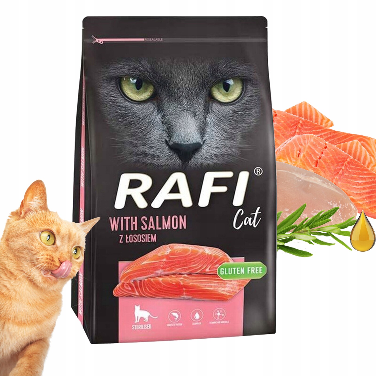 Dolina Noteci Rafi karma sucha dla kota Losos 7 kg