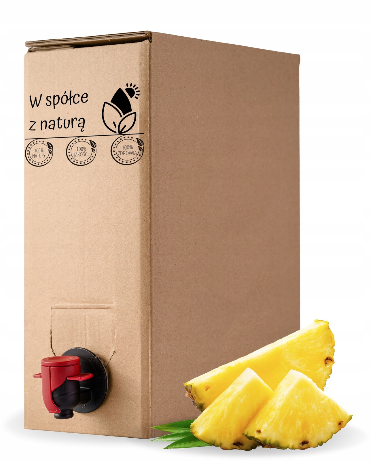 Ananasová šťáva, přírodní, lisovaný za studena Tłocznia Szymanowice 5 l
