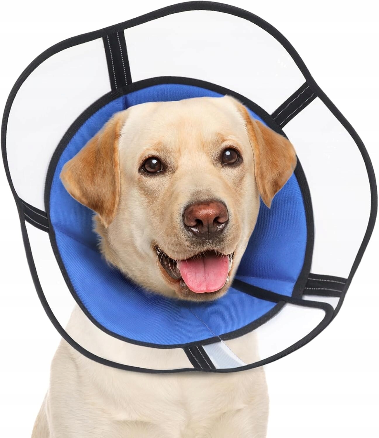 Pooperační obojek pro psa Ce M Veterinární ochranný modrý na suchý zip