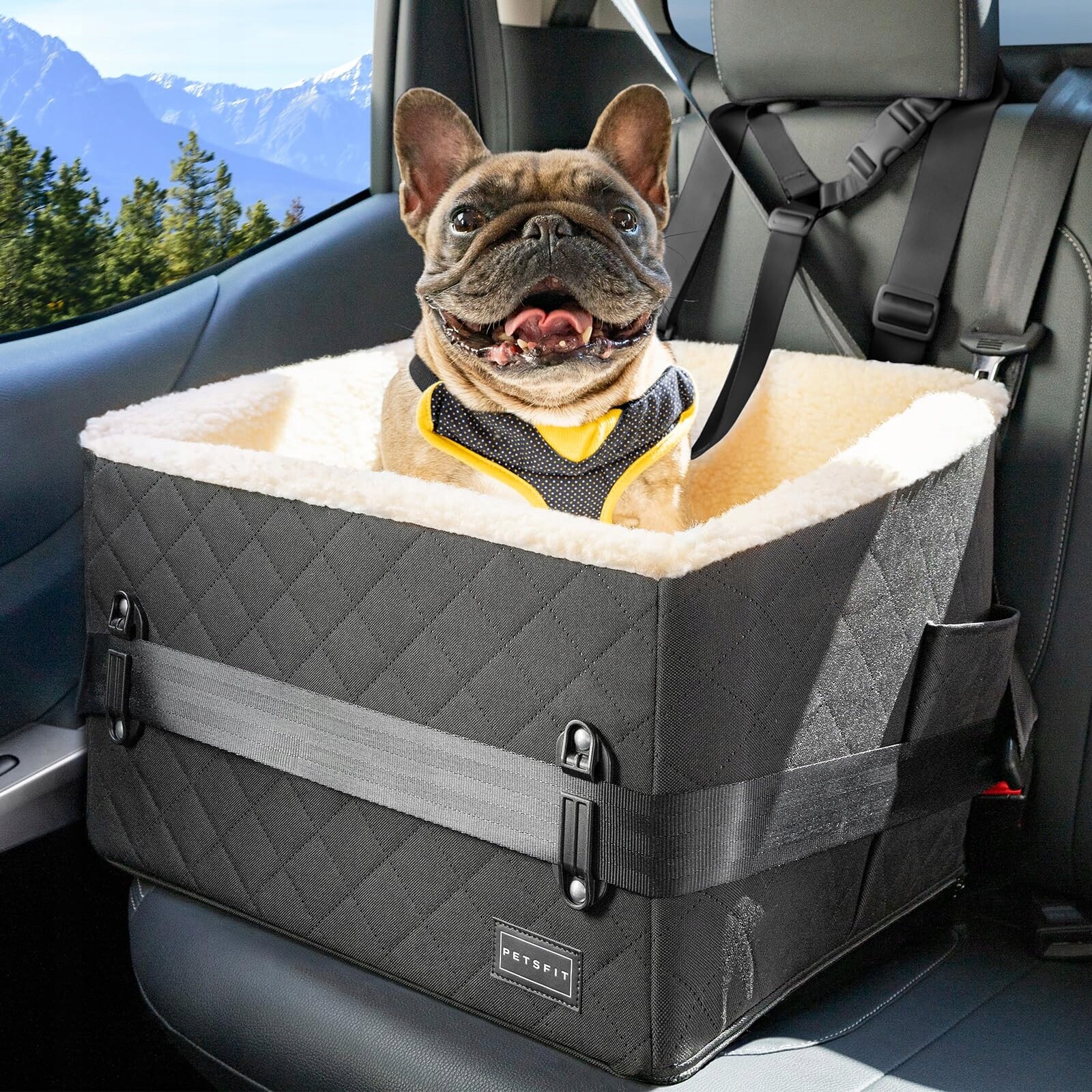 Petsfit Vyvýšená autosedačka pro psy do 12 kg s potahem