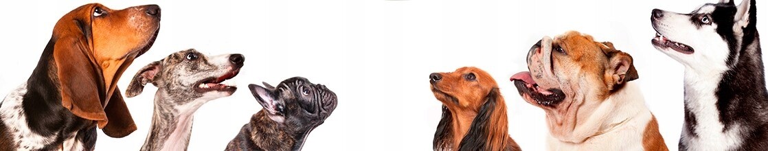 Sprej Isokor Neutralizátor zápachu Isokor 2000 ml a 500 ml, Odstraňovač