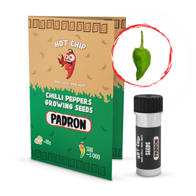Padron - semínka chilli