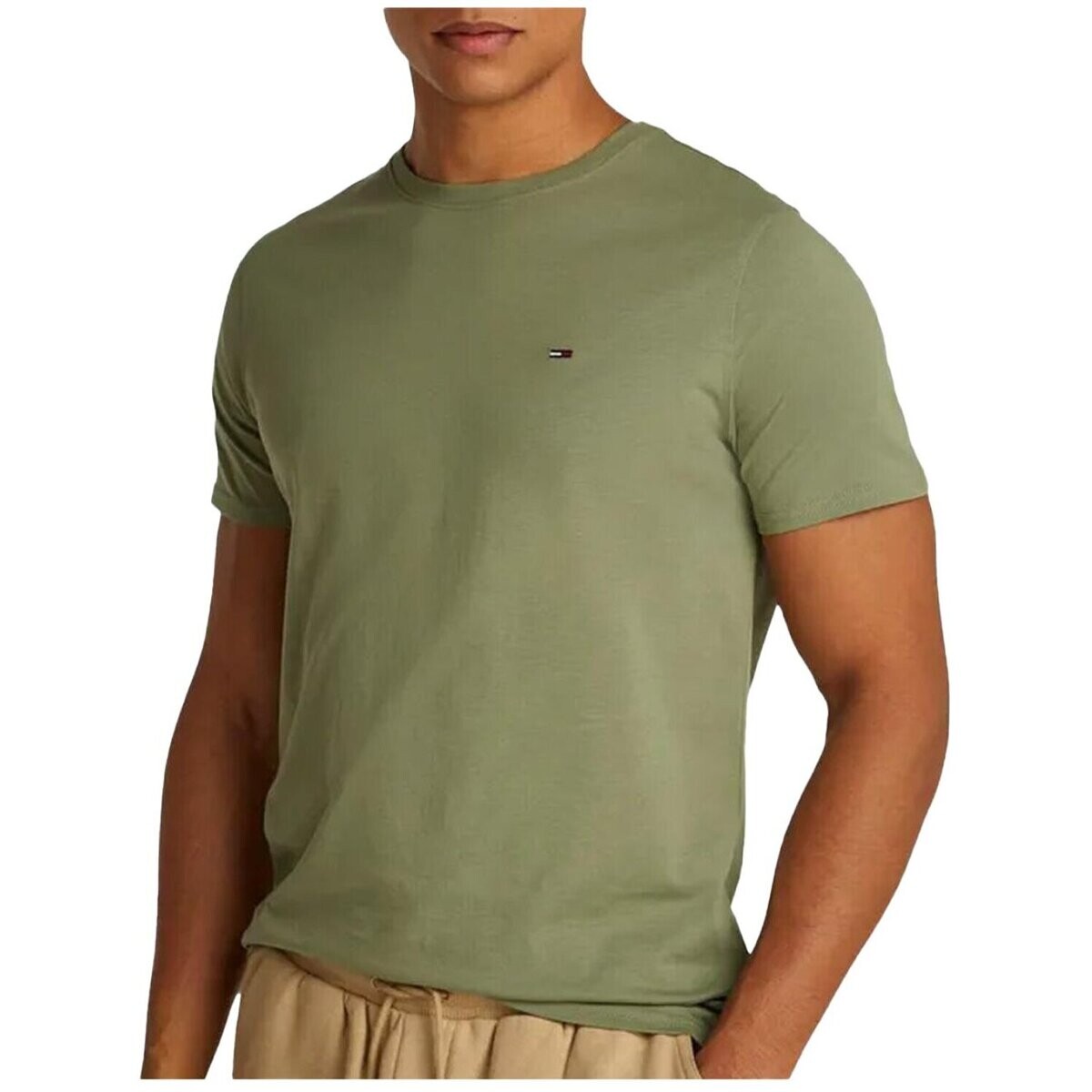 Tommy Jeans  DM0DM20363  Zelená