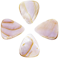 Timber Tones Shell Tones Mussel Shell 4-Pack