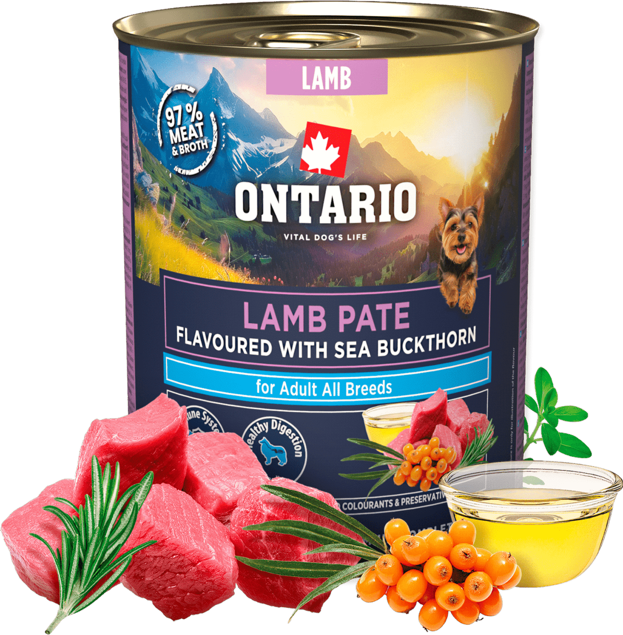 Konzerva Ontario Adult jehněčí pate s příchutí rakytníku 800g