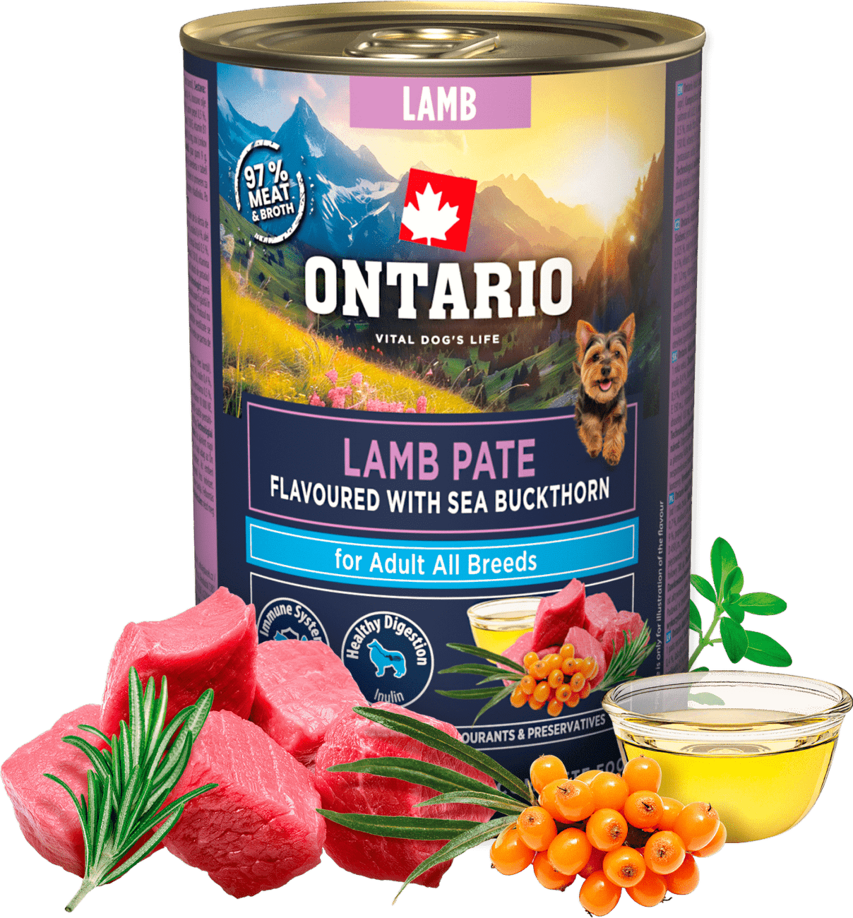 Konzerva Ontario Adult jehněčí pate s příchutí rakytníku 400g