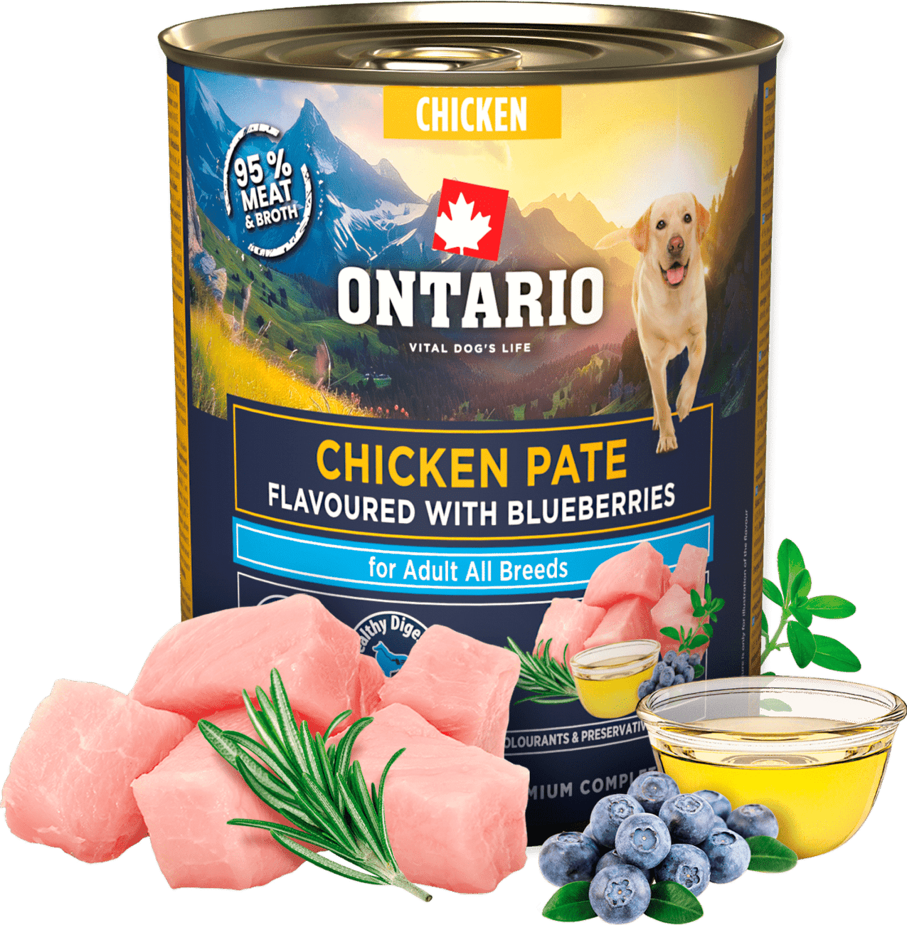 Konzerva Ontario Adult kuřecí pate s příchutí borůvek 800g